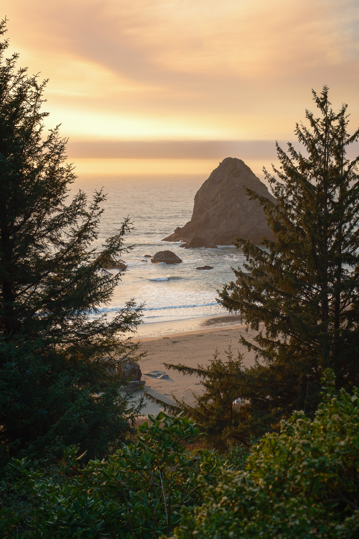 Pacific Northwest Road Trip photo titled Pacific Coast 21